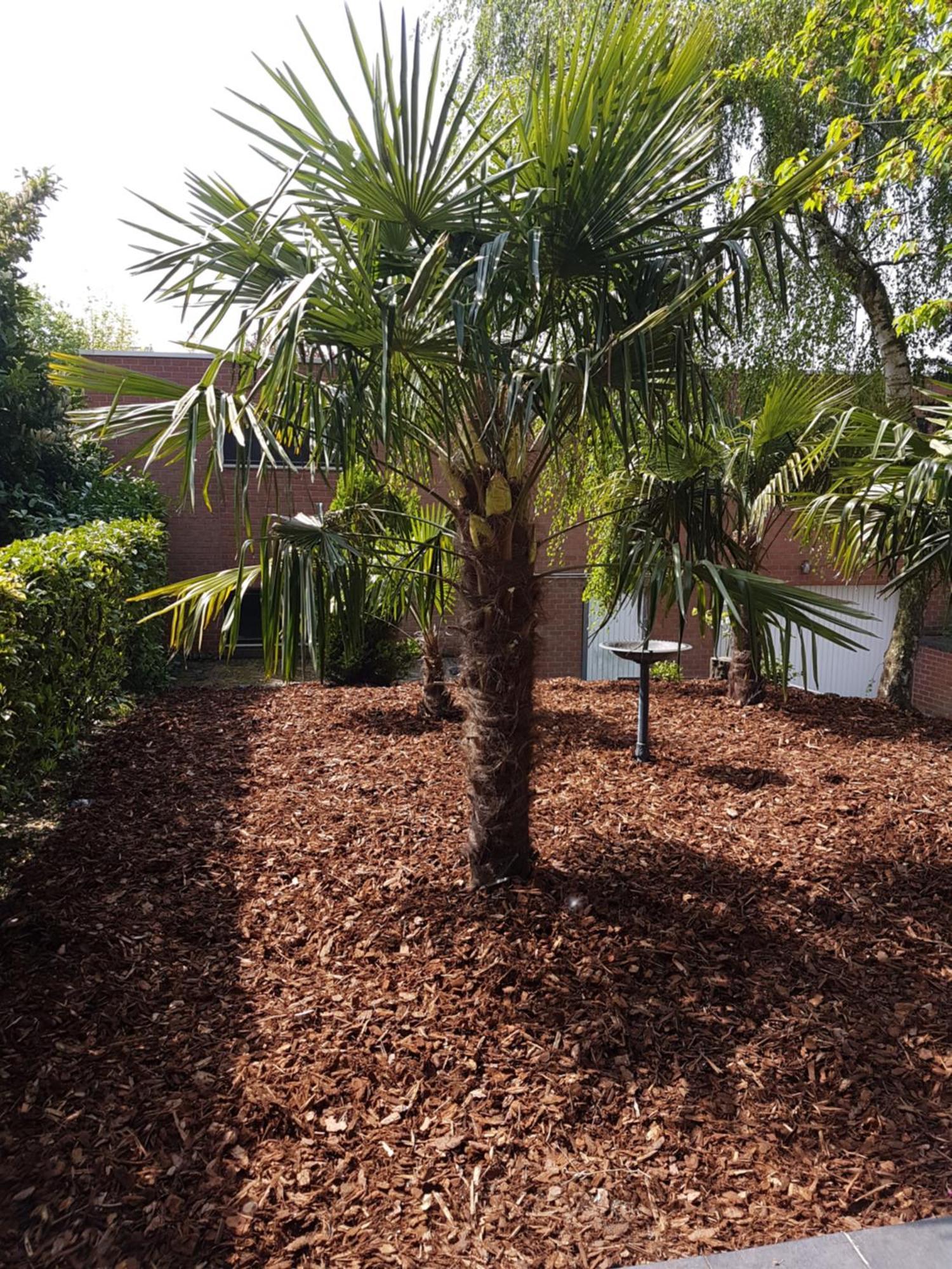 Homestay Gent-Merelbeke Self Check-In Service Melle Exterior photo